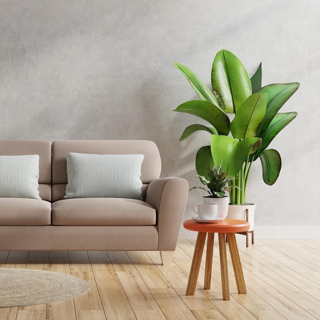 decorimage3